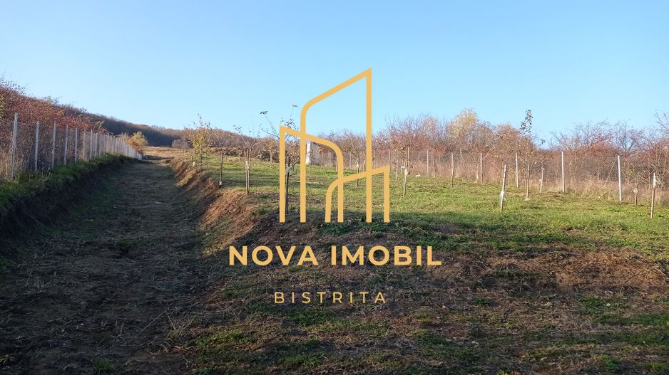 Teren Viisoara 27 ari - Poză 8