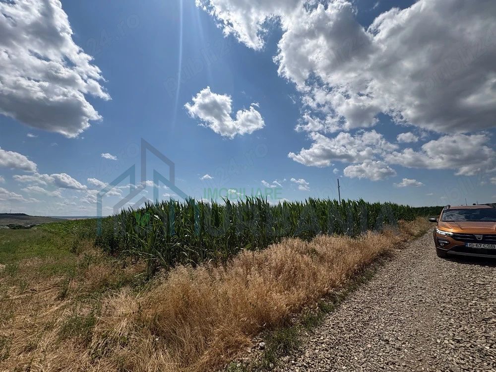 Teren Intravilan de Vanzare in Letcani, Judetul Iasi - 3.684 mp - Poză 1