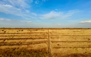 Teren Daia 75000 mp cu balta 30000 mp izvoare - Poză 11