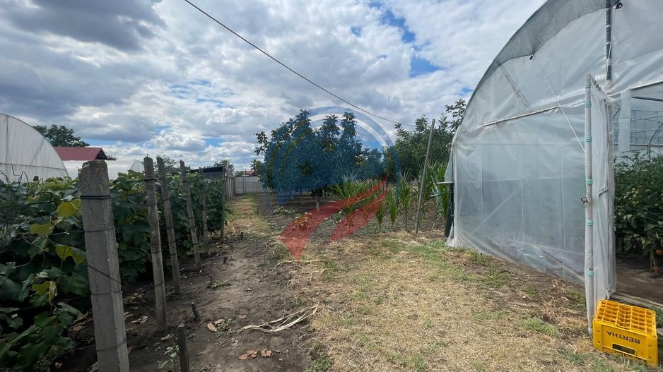 Casa in localitatea Zanoaga- Dolj - Poză 5