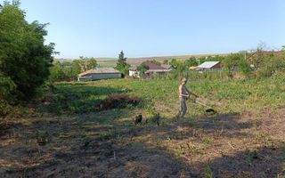 Casă renovată în stil tradițional, Romanesti, Iași – 3 camere, 50 mp utili, teren 3240 mp - Poză 12
