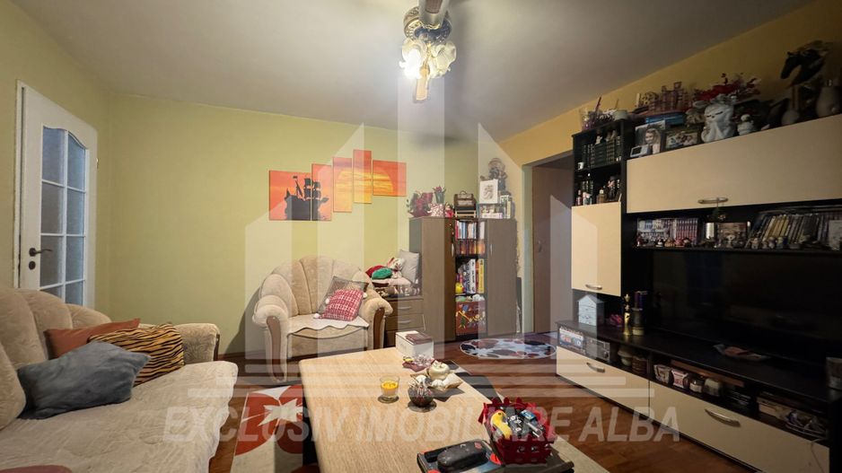 Apartament 2 camere de vanzare, Cetate - Poză 2