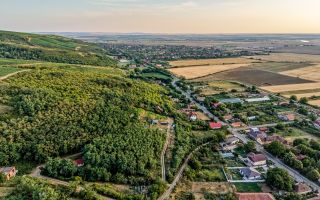 Teren pe deal, 1.150 mp, în Miniș, front 26 m, Drumul Vinului - Poză 10
