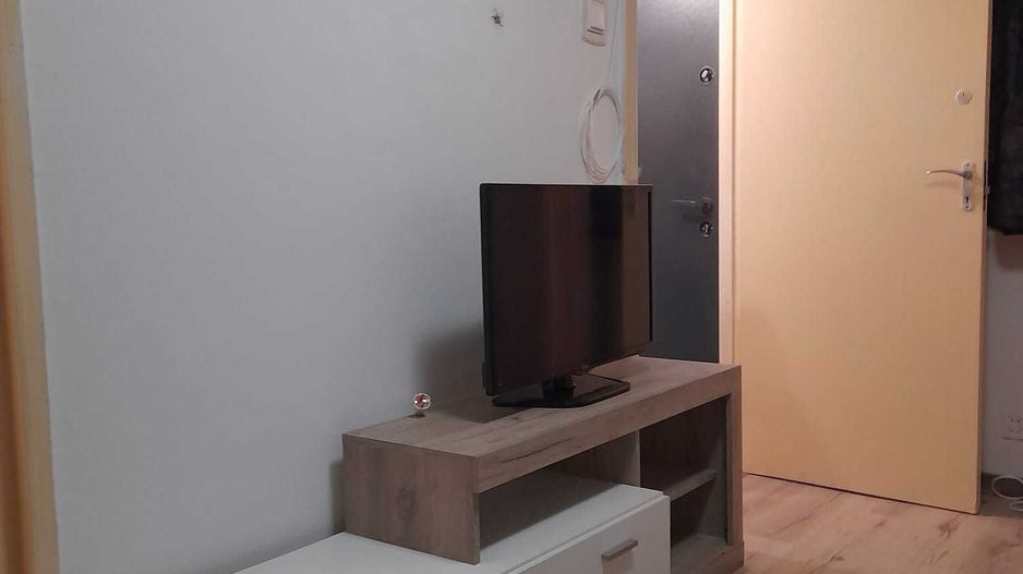 Garsoniera Crinul de Padure Parc Drumul Taberei - Poză 4