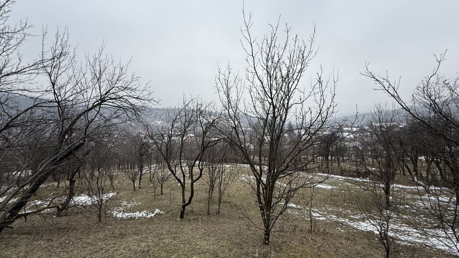 Teren 4652 mp cu izvor pe el, Lunca Mare, lângă păstrăvăria Doftana - Poză 14