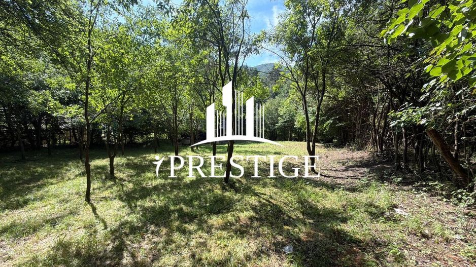 TEREN INTRAVILAN 1013 MP | UTILITĂȚI LA STRADĂ | ZONA PIATRA BROAȘTEI - Poză 3