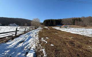 Teren intravilan 4521mp lângă pădure-valea Doftanei -Calea Brasovului - Poză 11