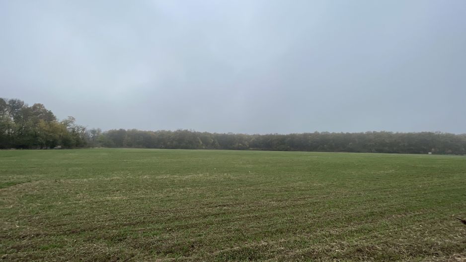 9400 mp | Ideal pentru investitie | Tunari | Deschidere la padure - Poză 5