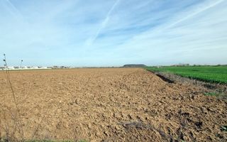 „Corbeanca – aer curat, potențial mare, preț competitiv. 4 loturi - Poză 5