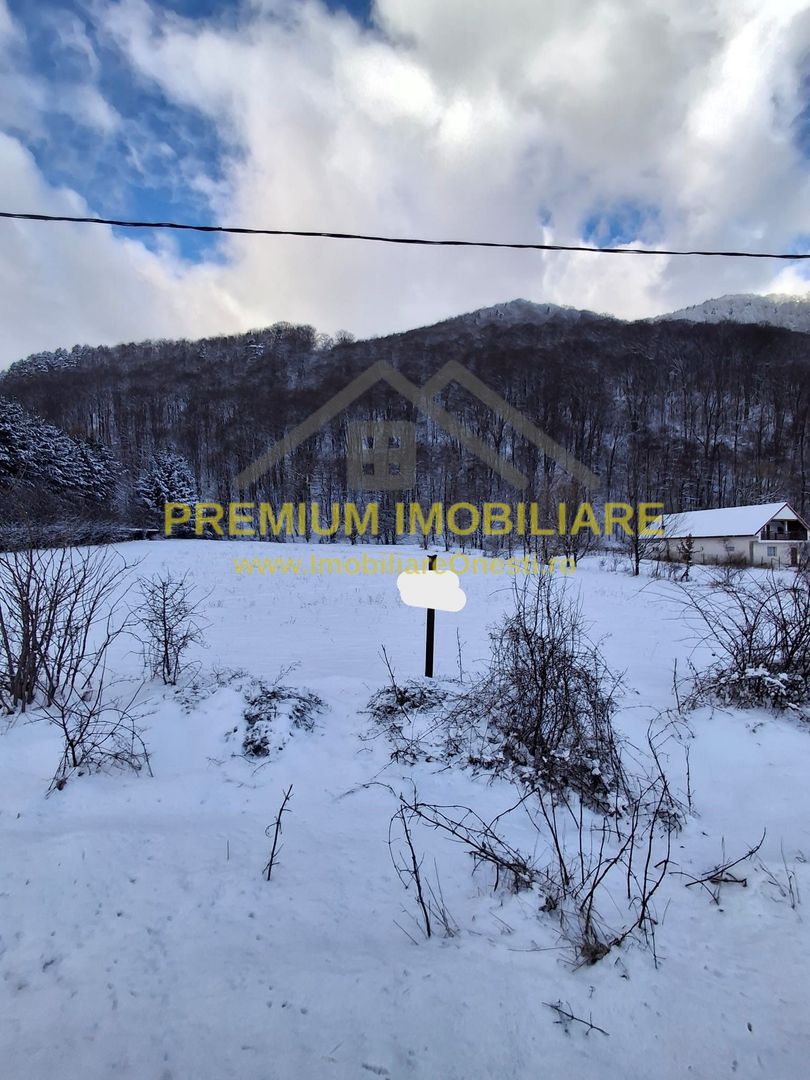 Teren intravilan de vânzare în Poiana Sărată – 2.400 mp - Poză 3