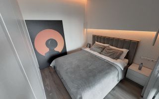 Chirie, apartament, 1 cameră, strada Ismail, Centru - Poză 3