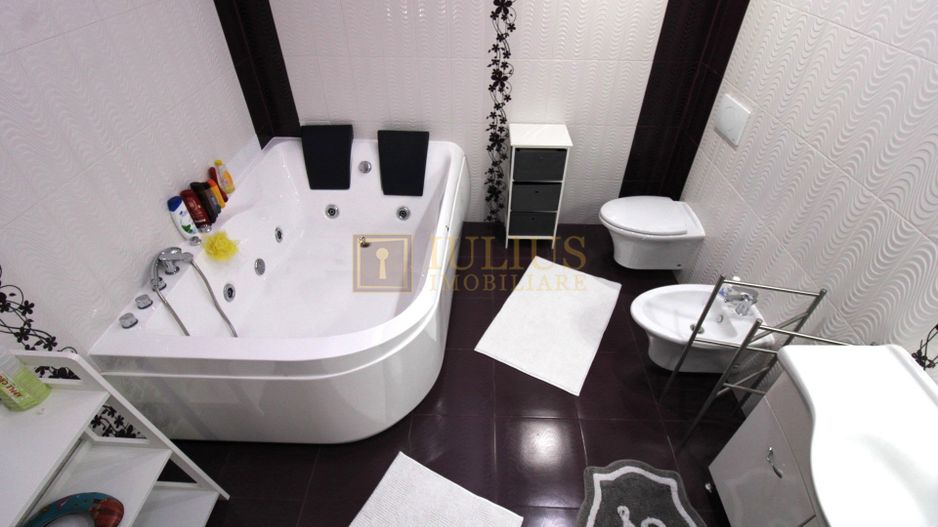 Sat Giroc, ideal pentru diverse afaceri sau pentru locuit. - Poză 22