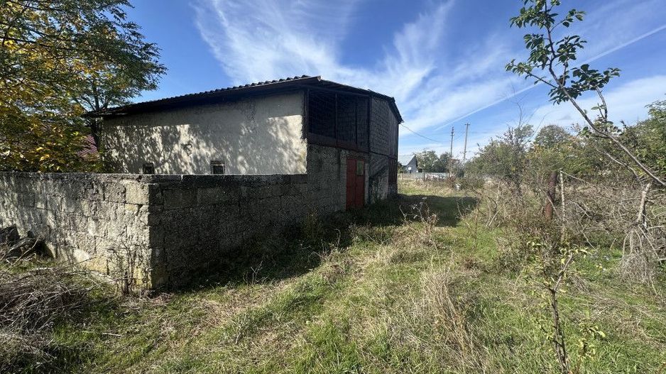 Teren 5216 mp la 2 pasi de autostrada A1 - Poză 8