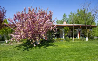 Resedinta spectaculoasa  – Vila exclusivista deschidere directa la lac - Poză 45