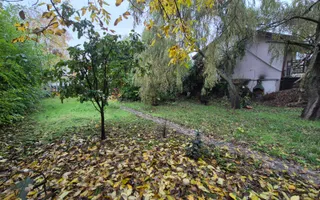 Un colț de verde, la doi pași de lac. - Poză 11
