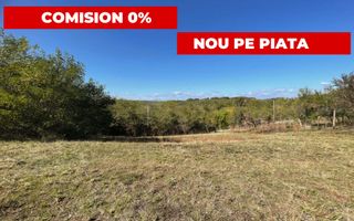 Teren generos Argeș Babana - Poză 1