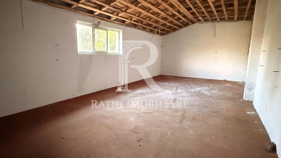 Casă cu Hală Industrială | Teren 3.200 mp | Ineu | Bihor - Poză 20