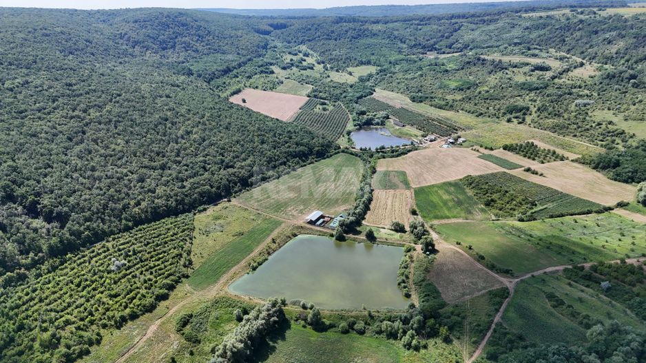Teren de 6.2 Hectare cu Iaz propriu, lângă pădure – Vorniceni, Strășeni! - Poză 10