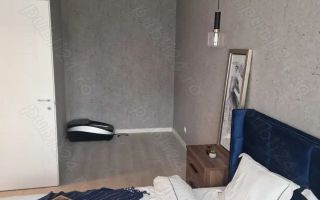 Inchiriere apartament 2 camere in HIls Brauner Pallady - Poză 10