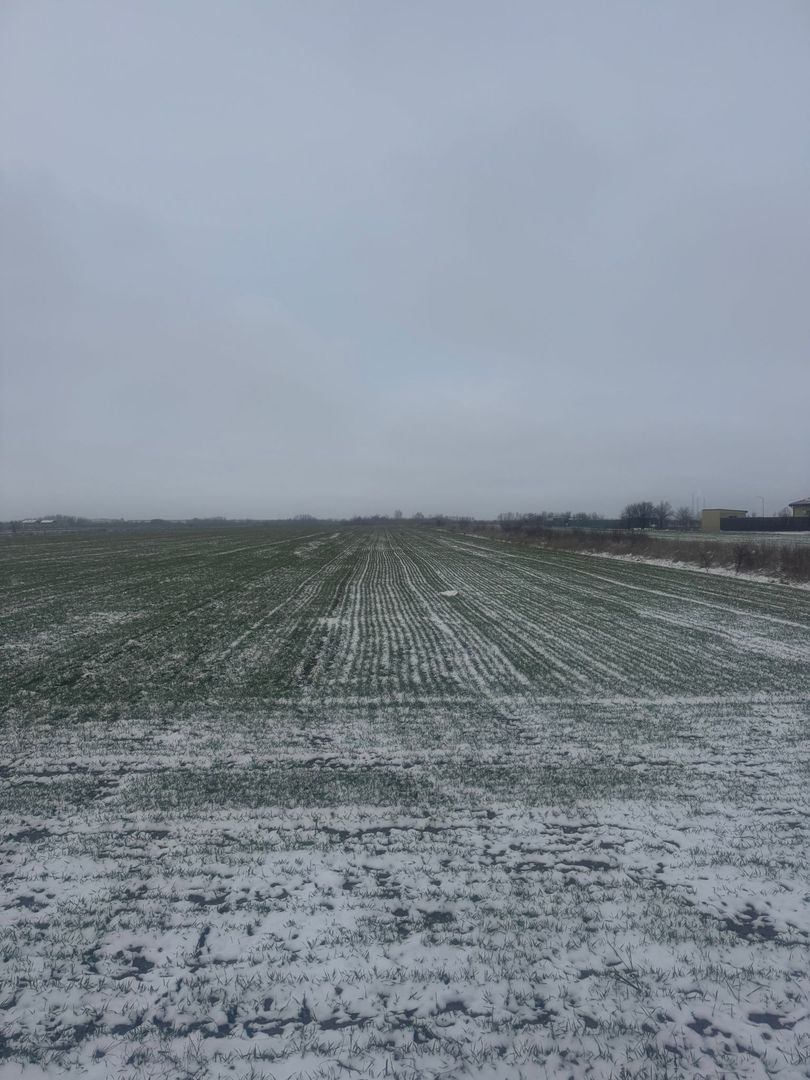 COMISION 0% | Teren intravilan | 5.000 mp | Front stradal 12,5 m | Șag - Poză 3