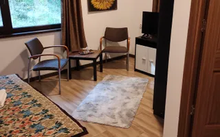 Vanzare Pensiune , Casa ,  Rezervatia Piatra Craiului / Satic, Arges - Poză 23
