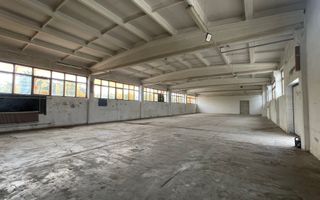 Hala de închiriat cu birouri, Salonta - Poză 2