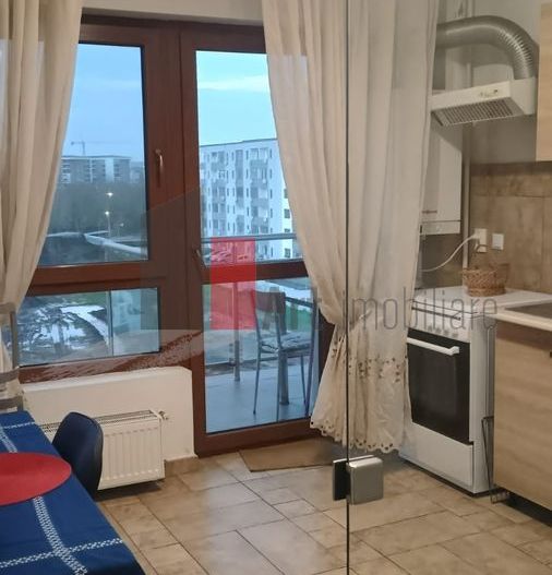 Inchiriere 2 Camere Berceni - Poză 7