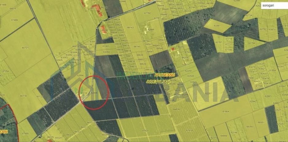 De vanzare teren Sorogari - Poză 2