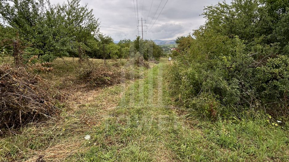 Teren intravilan de vânzare în Daia Nouă – 1.000 mp - Poză 2