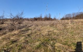 Teren 2100 mp in Zona Valea Stanelor - Poză 1