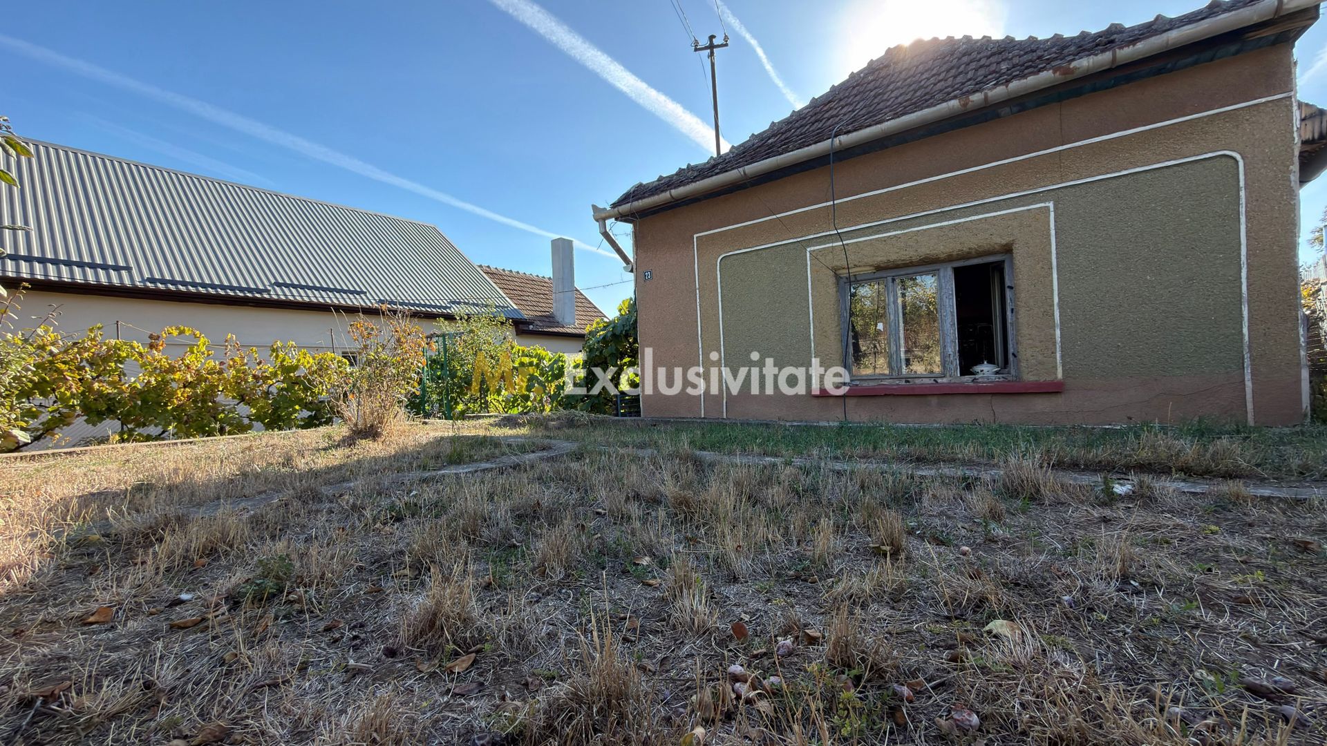 Casa 3 camere, Teren 518 mp - Str. M. Kogălniceanu - Carei - Poză 13