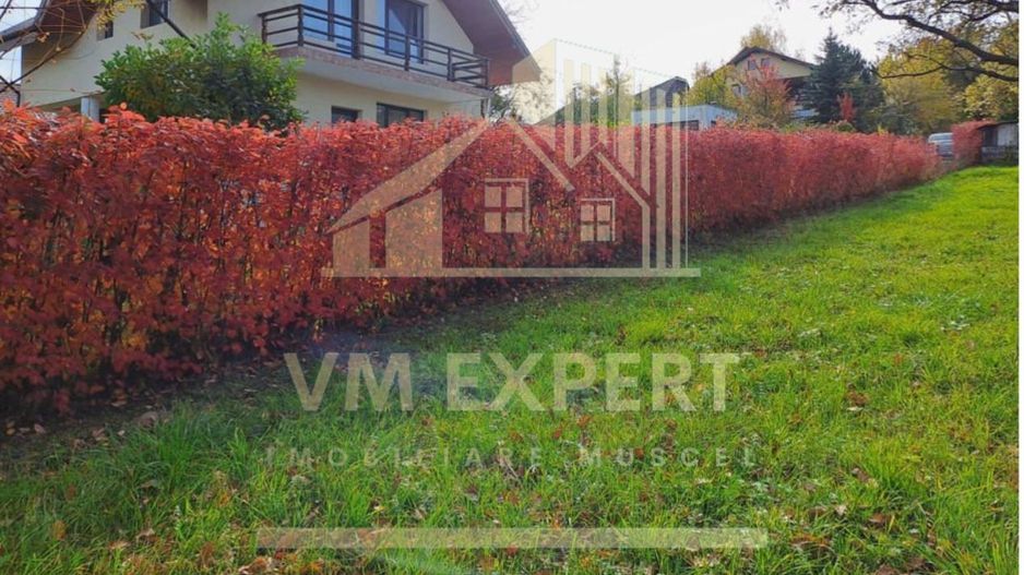 VILA DE VANZARE, CAMPULUNG, ZONA MARCUS, 150 MP, TEREN 1843 MP - Poză 4