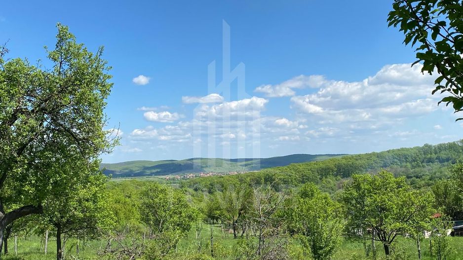 Teren premium 1000 mp-Sibiel - Poză 2