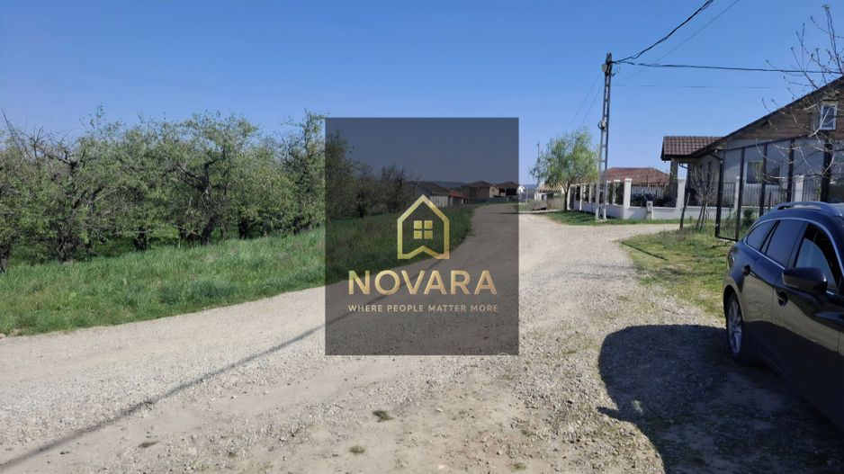 Teren toate utilitatile Paleu - Poză 1