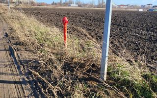 Teren 14377 mp Odai / Otopeni / 5000 mp intravilan - Poză 2