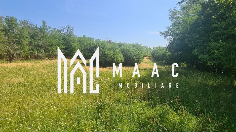 Teren | 12.922 MP | Loamneș - Poză 4