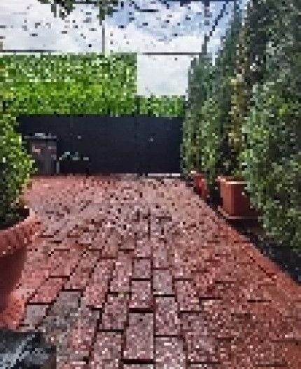 Casa P+1 ,zona Antiaeriana - Poză 1