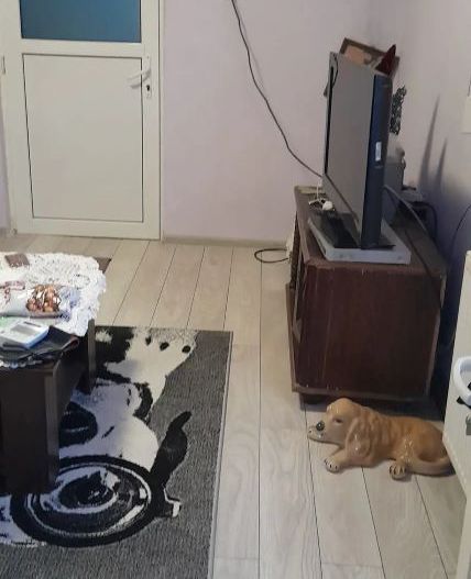 URGENT!, casa singur curte, toate utilitatile, NEGOCIABIL - Poză 2