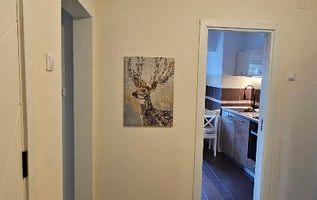 2 camere Pta Alba Iulia, 62 mp - prima închiriere, direct propietar - Poză 4
