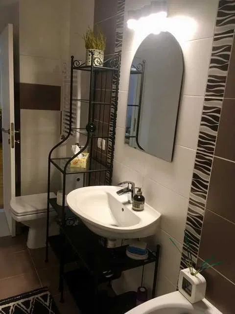 Apartament 2 camere zona Alba Iulia - Poză 3