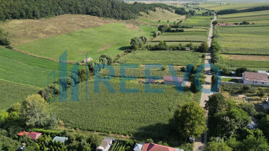 Teren intravilan de vânzare, Sat Bogdănști, Com. Traian - Poză 9