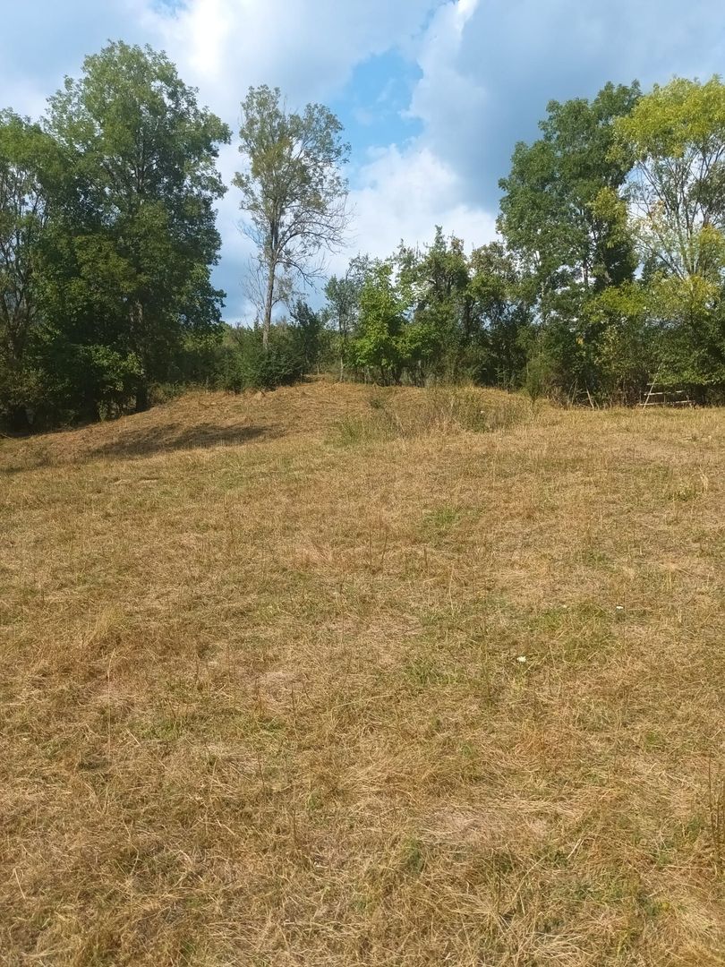 Teren de vanzare Coebeni-Turburea-Arges - Poză 4