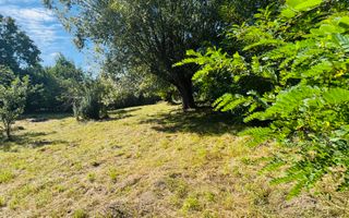 TEREN INTRAVILAN 3234 MP LEREȘTI VOINEȘTI ARGEȘ - Poză 11