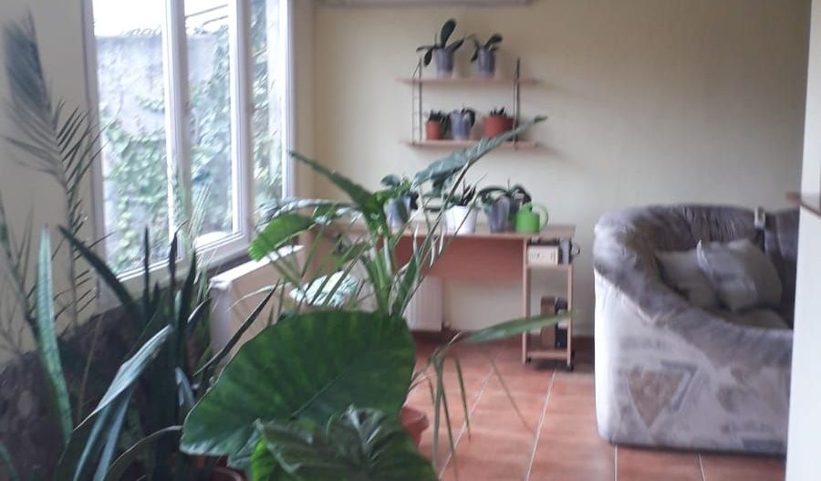 Casă individala cu etaj, având 2 apartamente separate în Timișoara - Poză 6