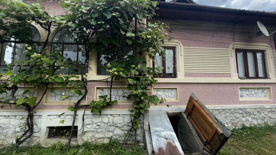 CASA 3 CAMERE, PLUS ANEXE, TEREN 2141 MP, BEREVOIESTI, ARGES - Poză 19