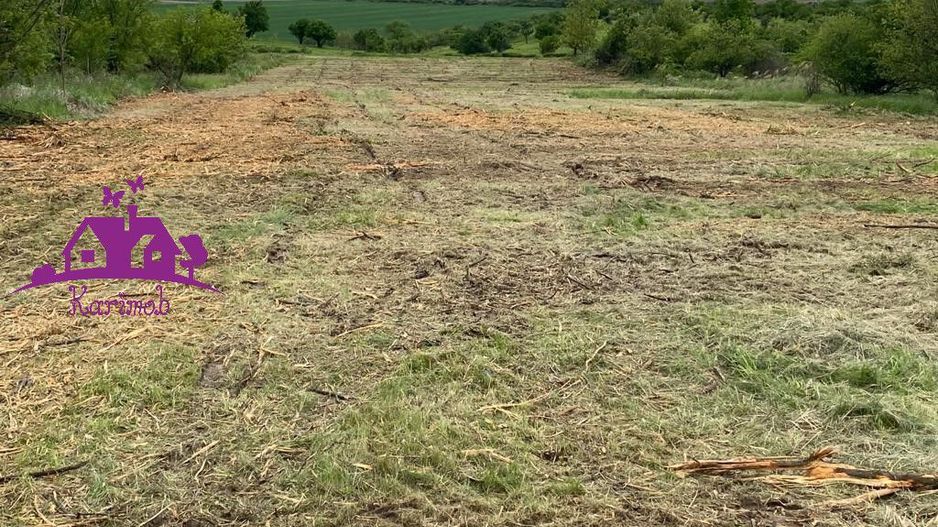 Teren extravilan  zona Episcopia - Poză 1