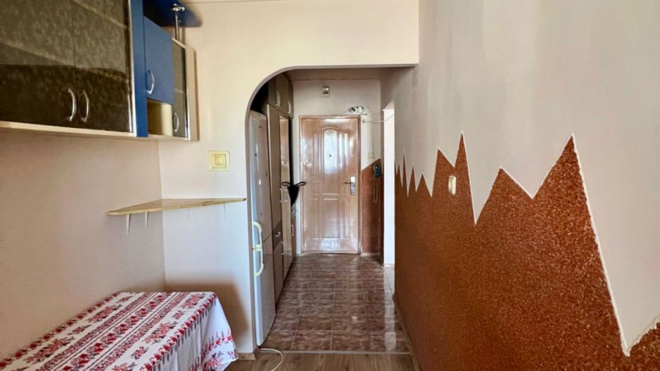Apartament cu o cameră - Zona Nufarul - Poză 2
