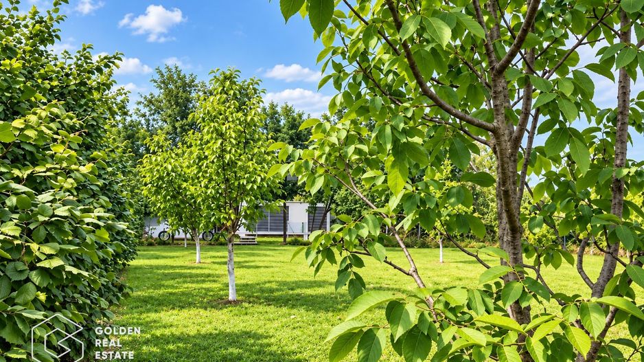 Teren constructii vila sau casa de vacanta la Tipar, jud. Arad. - Poză 2