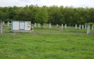 Teren intravilan 31 parcele, situate in comuna Gepiu, Bihor - vanzare - Poză 2