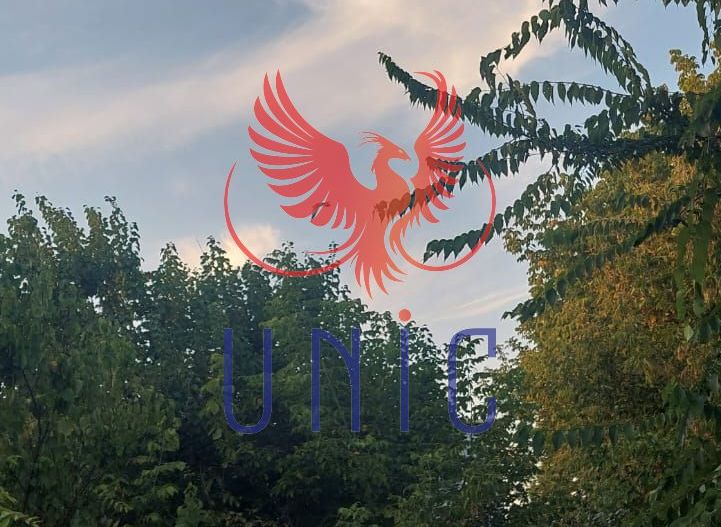 Casa Zona Agronomie - Poză 2